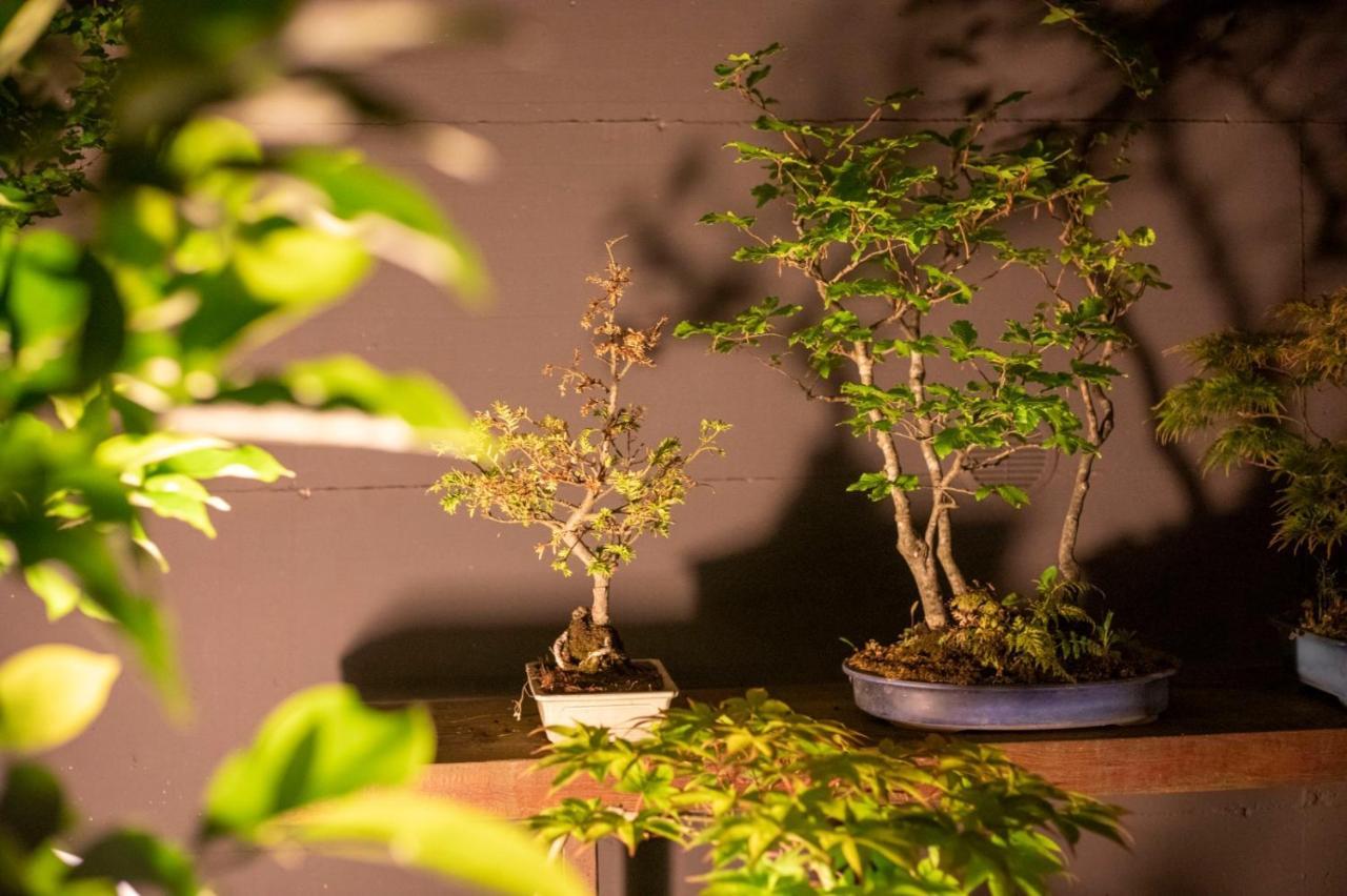 Il Giardino Segreto Apartment Carbognano Luaran gambar