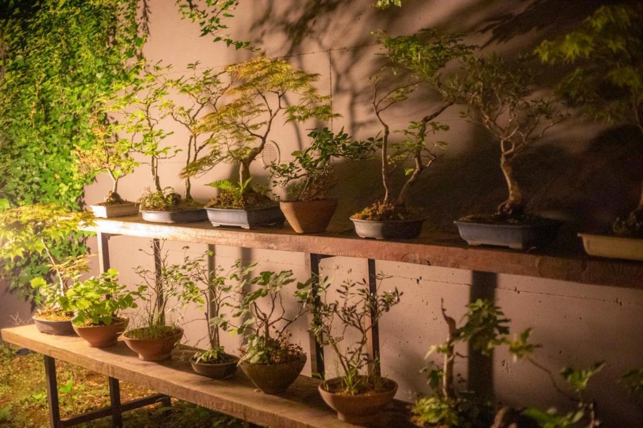 Il Giardino Segreto Apartment Carbognano Luaran gambar