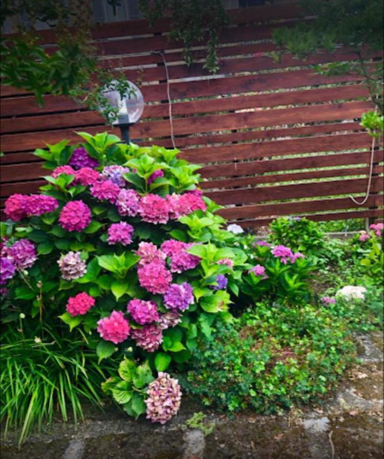 Il Giardino Segreto Apartment Carbognano Luaran gambar